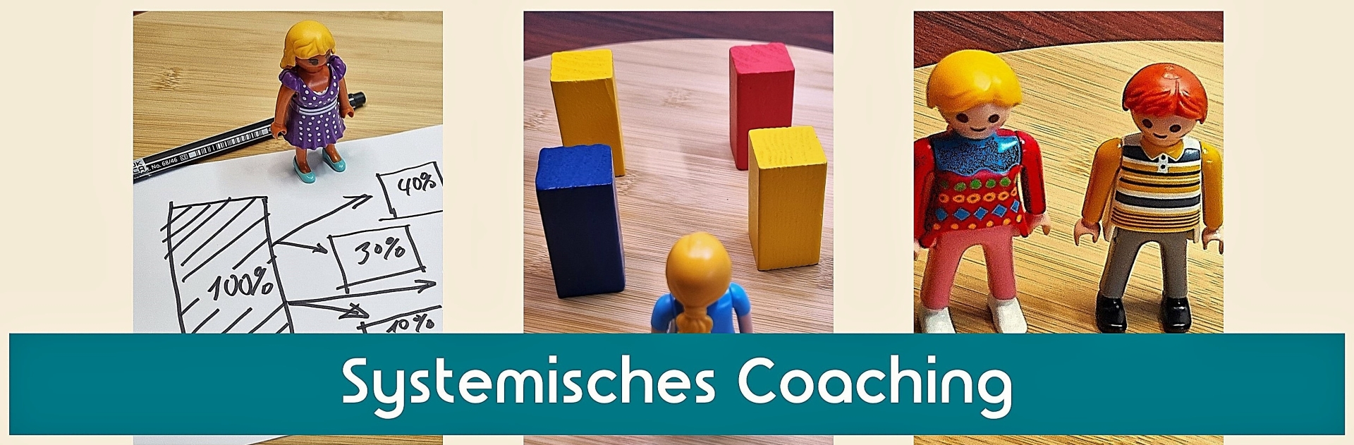 Systemisches Coaching
